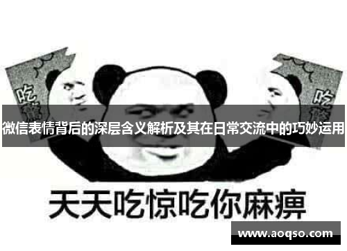 微信表情背后的深层含义解析及其在日常交流中的巧妙运用